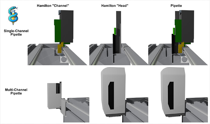 260326_Hamilton_nomenclature_hunt