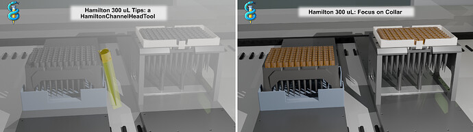 251016_Moschner_tip_focus